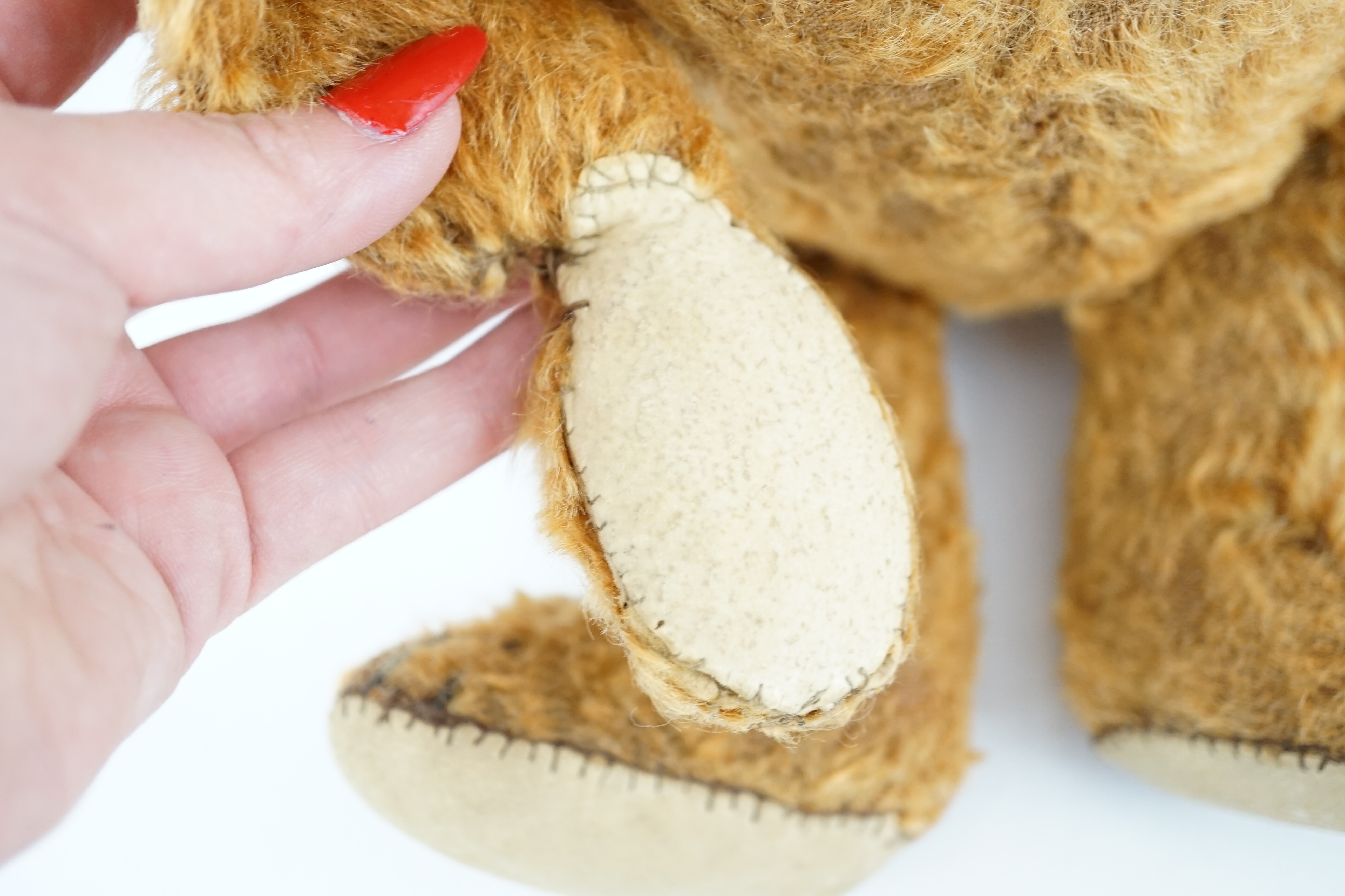 A cinnamon Steiff bear c.1908, with button paw pads, stuffing missing in arms, hair loss to head, muzzle repaired, general hair loss, 41cm